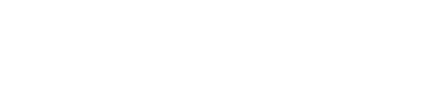 ProConsulting — defining success